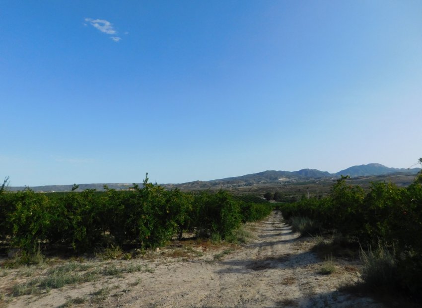 Reventa - Parcela / Terreno - Torremendo