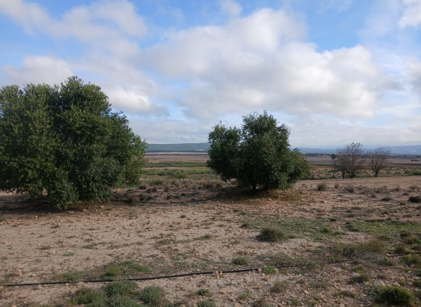 Reventa - Parcela / Terreno - Yecla