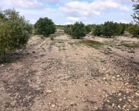 Reventa - Parcela / Terreno - Yecla