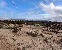 Reventa - Parcela / Terreno - Yecla