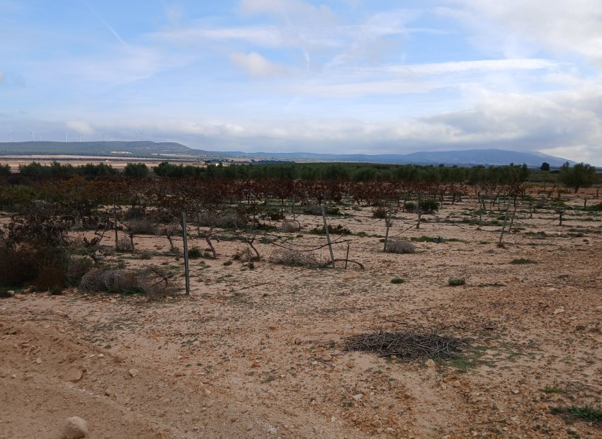 Reventa - Parcela / Terreno - Yecla