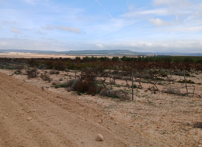 Reventa - Parcela / Terreno - Yecla