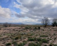 Reventa - Parcela / Terreno - Yecla