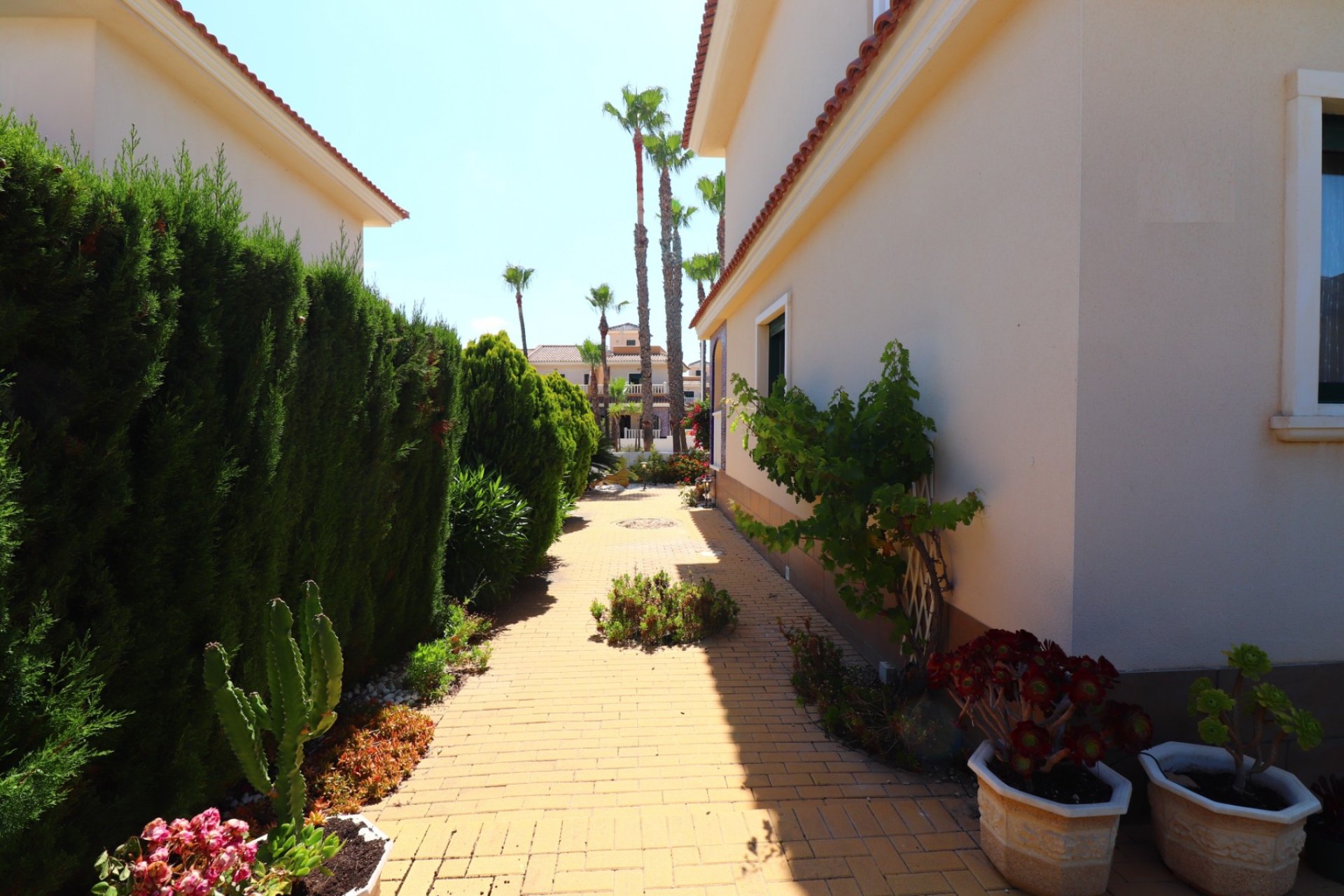 Reventa - Townhouse / Duplex - Ciudad Quesada - Doña Pepa