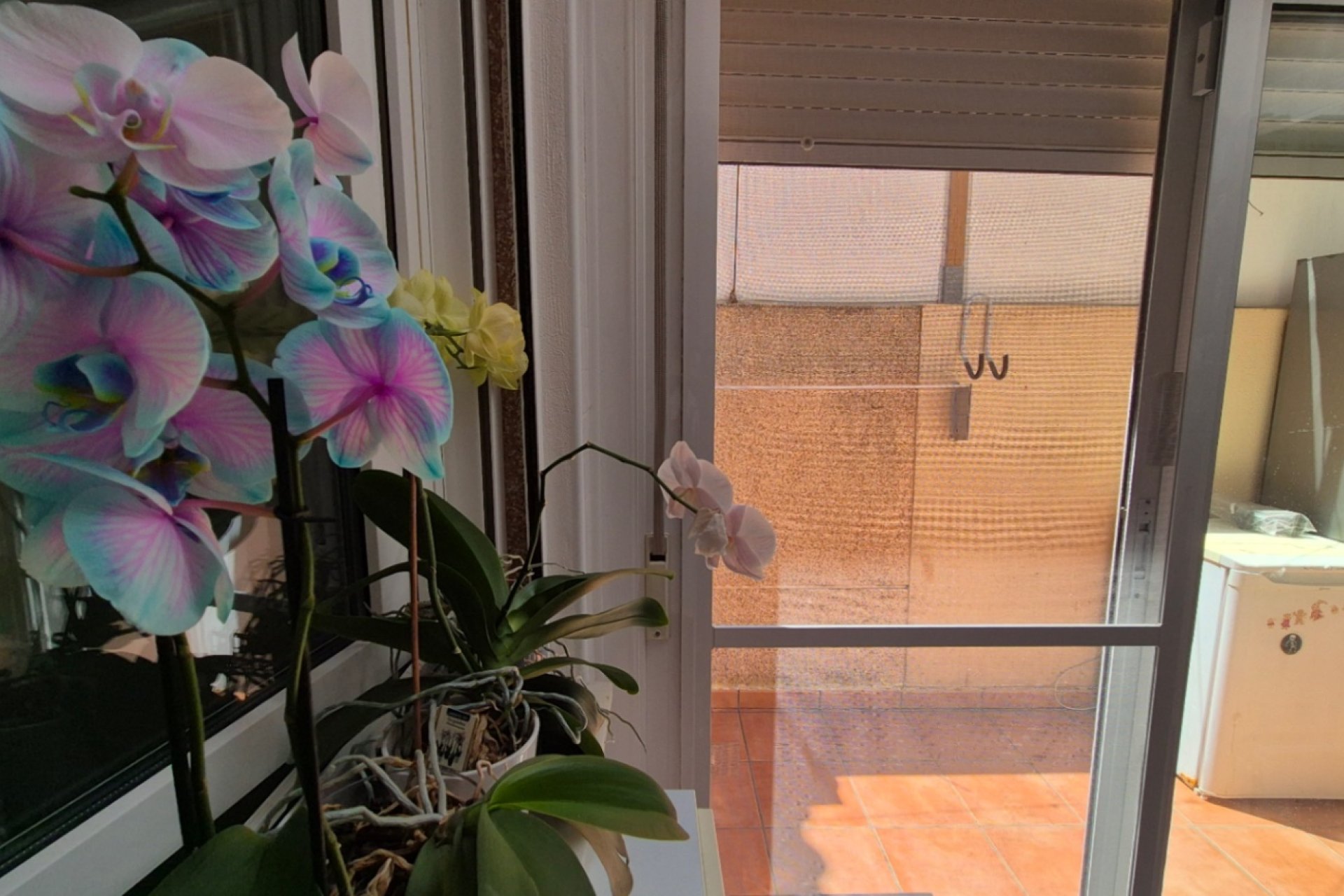 Reventa - Townhouse / Duplex - Torrevieia - Costa Blanca