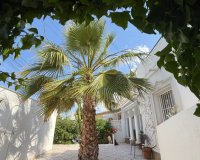 Reventa - Townhouse / Duplex - Torrevieia - Costa Blanca