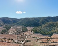 Reventa - Villa - Abanilla - Cañada de la Leña