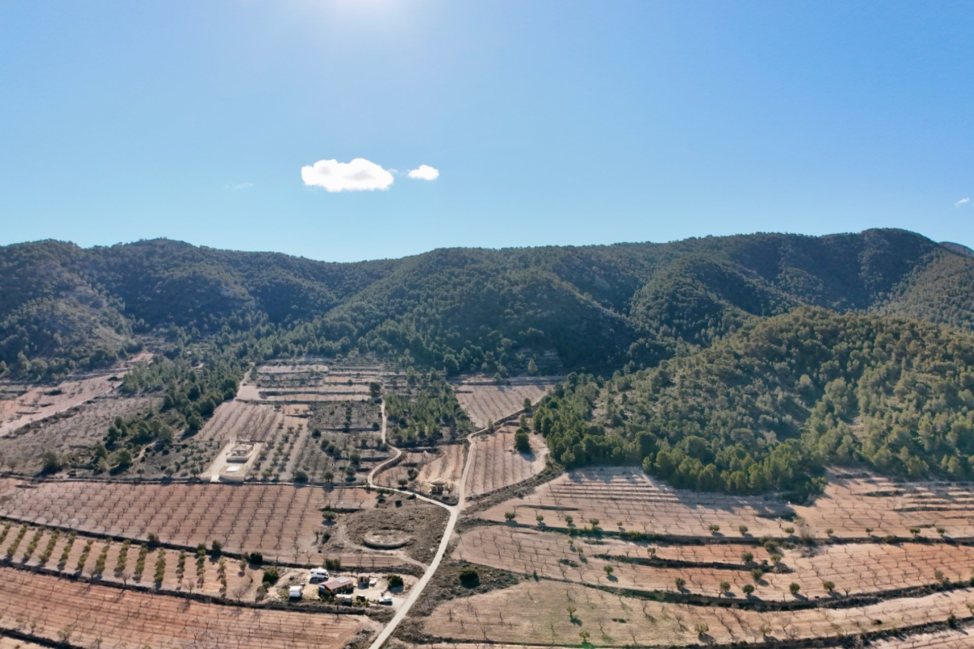 Reventa - Villa - Abanilla - Cañada de la Leña