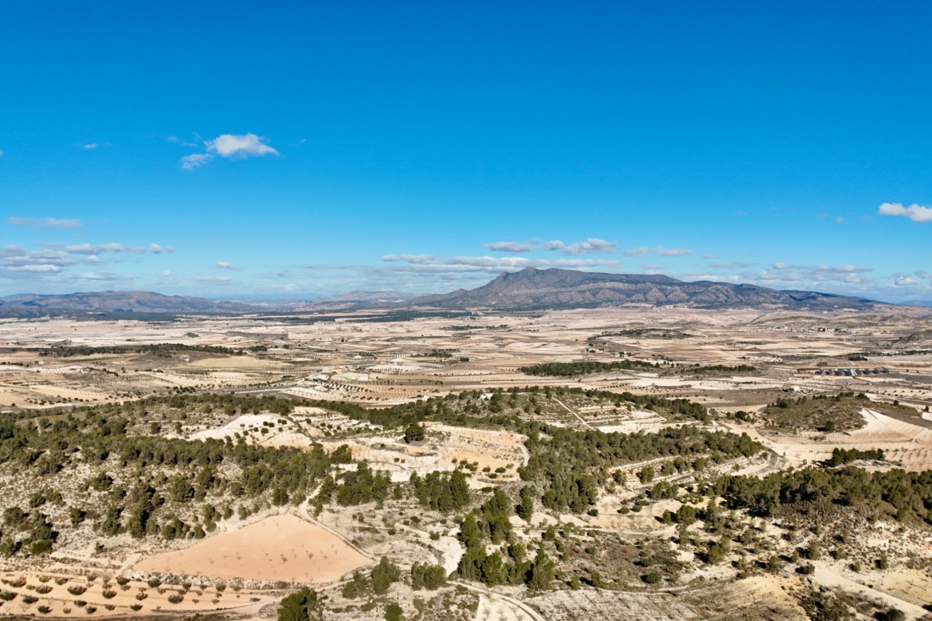 Reventa - Villa - Abanilla - Cañada de la Leña