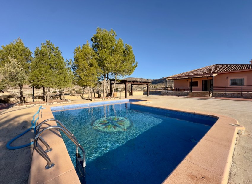 Reventa - Villa - Abanilla - Cañada de la Leña