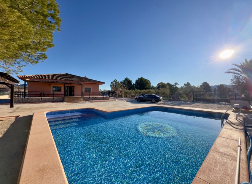 Reventa - Villa - Abanilla - Cañada de la Leña