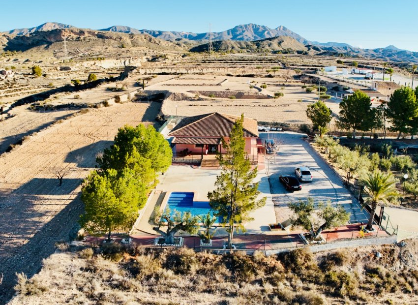 Reventa - Villa - Abanilla - Cañada de la Leña