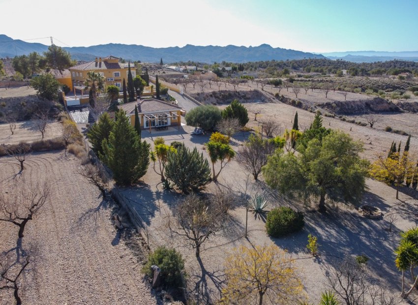 Reventa - Villa - Abanilla