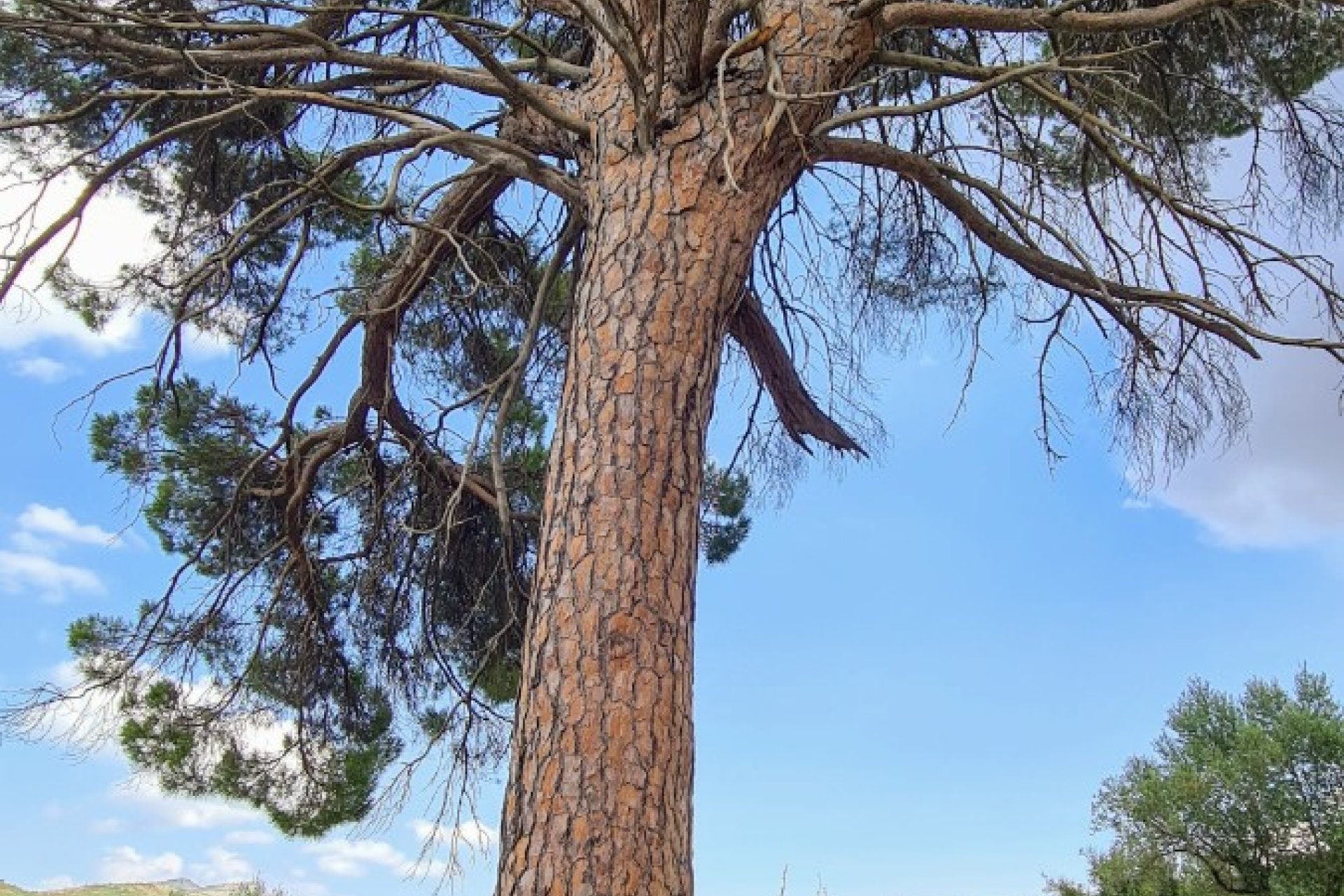 Reventa - Villa - Alcoy - Muro de Alcoy