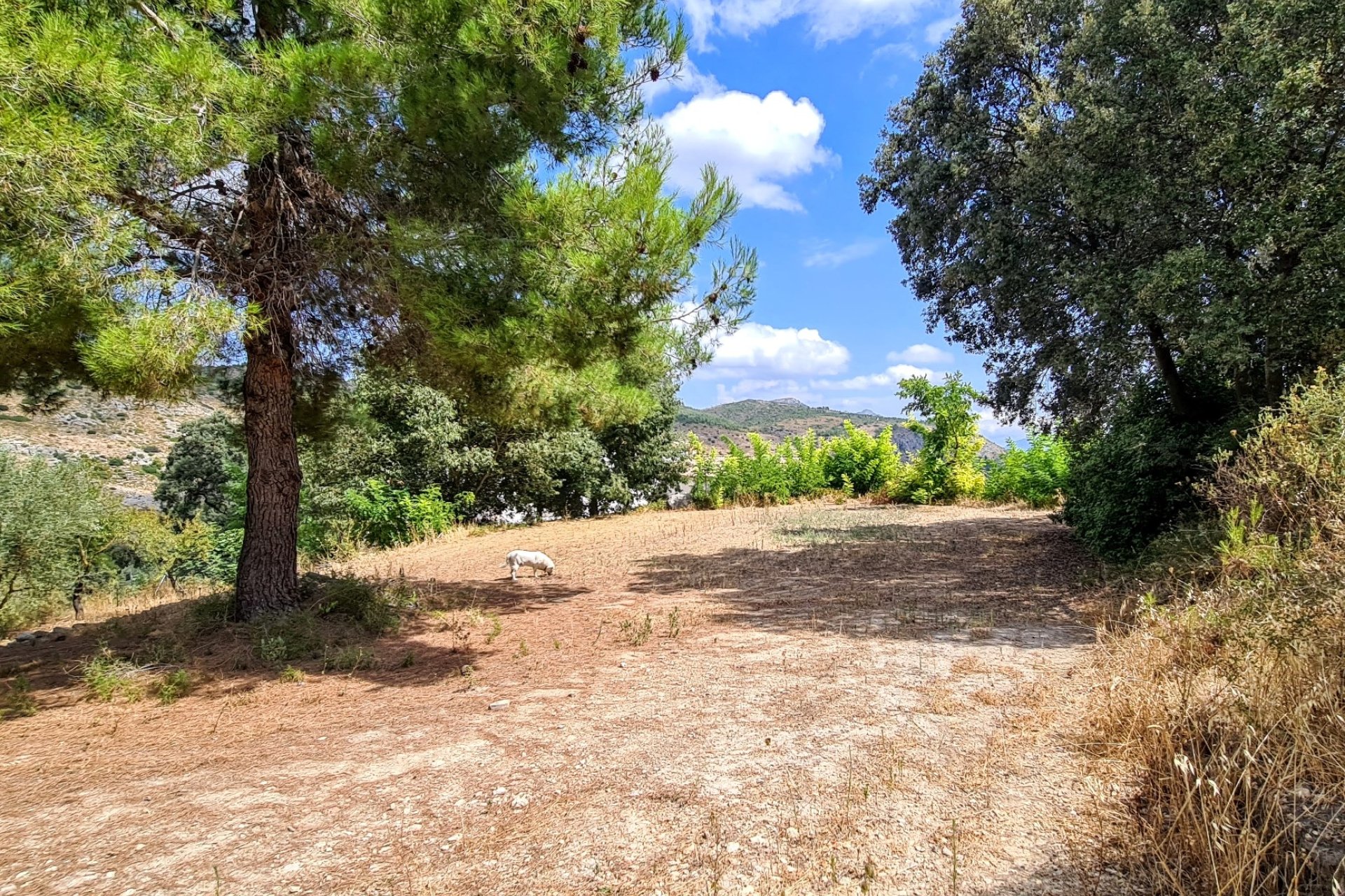 Reventa - Villa - Alcoy - Muro de Alcoy