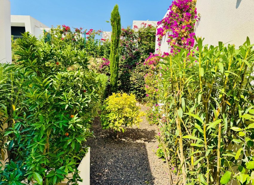 Reventa - Villa - Algorfa - La finca Golf