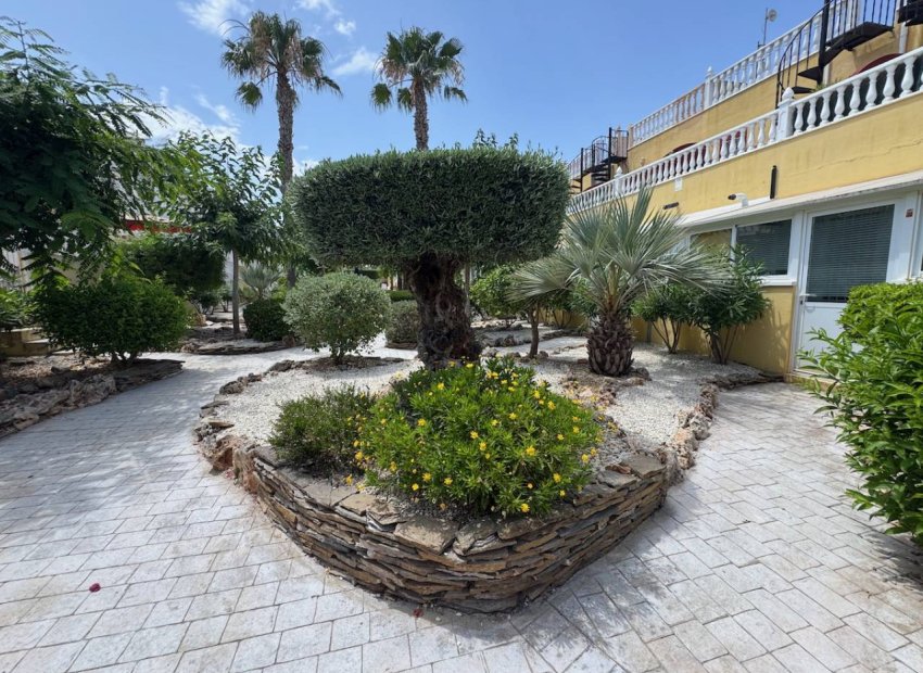 Reventa - Villa - Algorfa - Lo Crispin