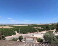 Reventa - Villa - Algorfa - Lomas de La Juliana