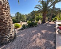 Reventa - Villa - Algorfa - Lomas de La Juliana