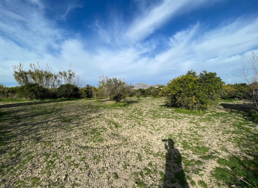 Reventa - Villa - Benejúzar - Comunidad Valenciana