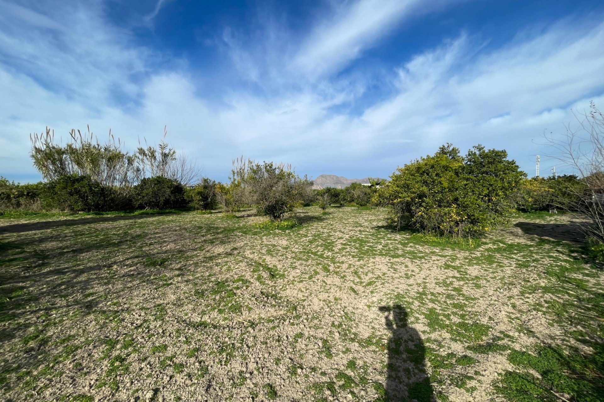 Reventa - Villa - Benejúzar - Comunidad Valenciana