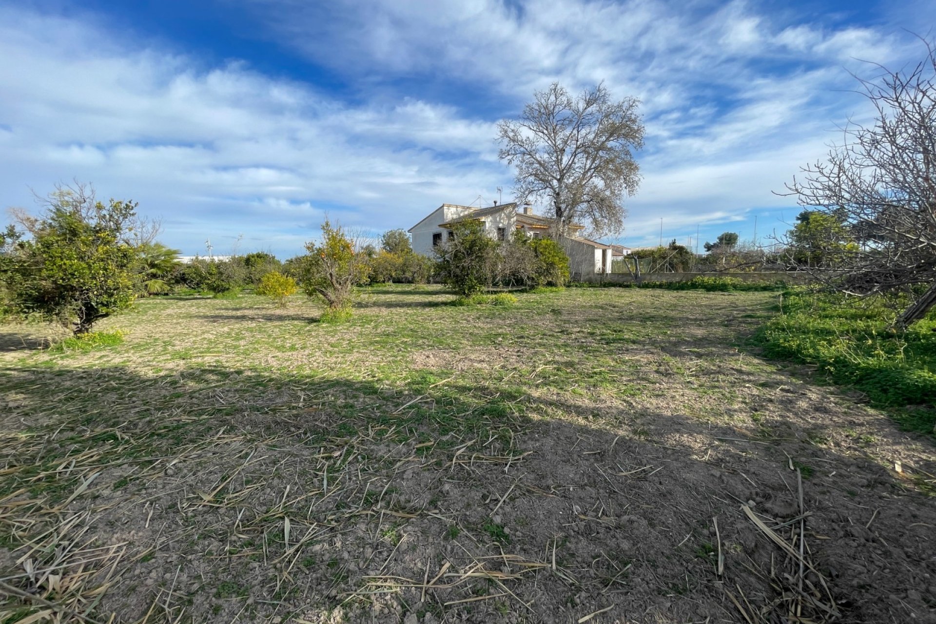 Reventa - Villa - Benejúzar - Comunidad Valenciana