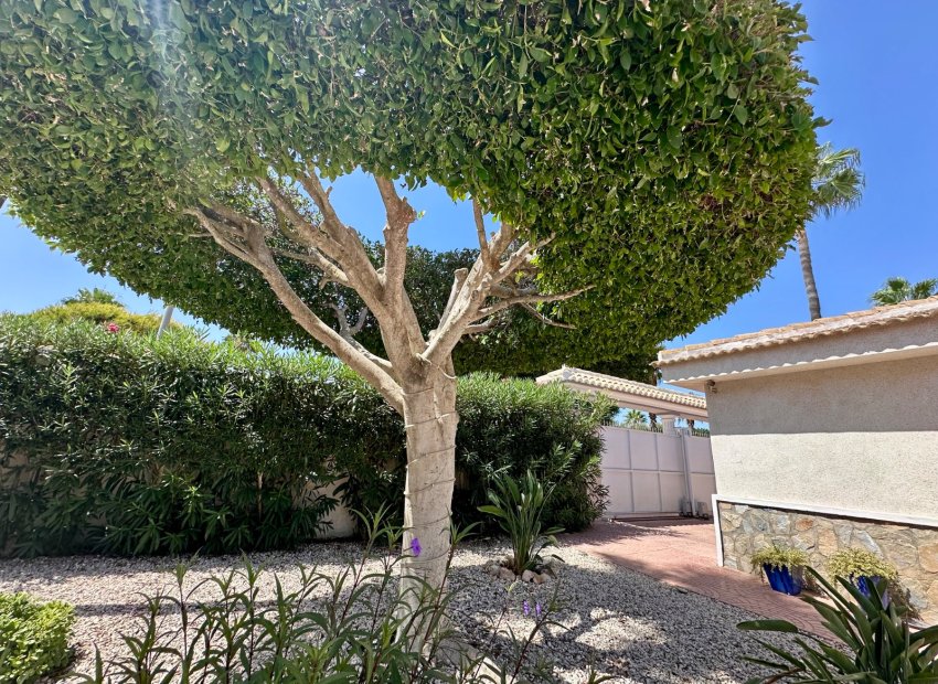 Reventa - Villa - Ciudad Quesada