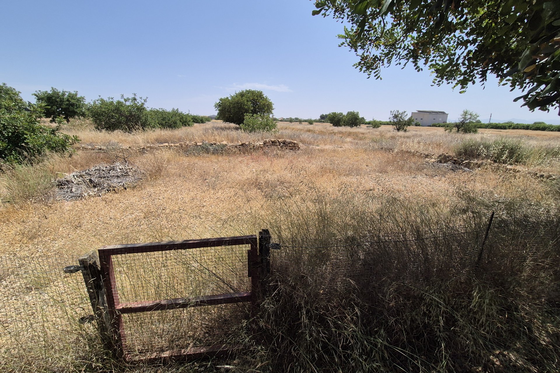Reventa - Villa - Fuente Alamo - Fuente Alamo de Murcia