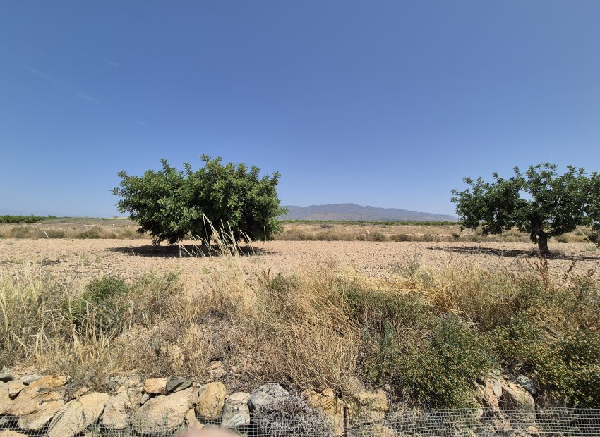 Reventa - Villa - Fuente Alamo - Fuente Alamo de Murcia