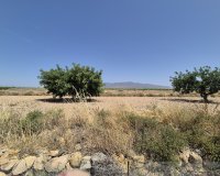 Reventa - Villa - Fuente Alamo - Fuente Alamo de Murcia