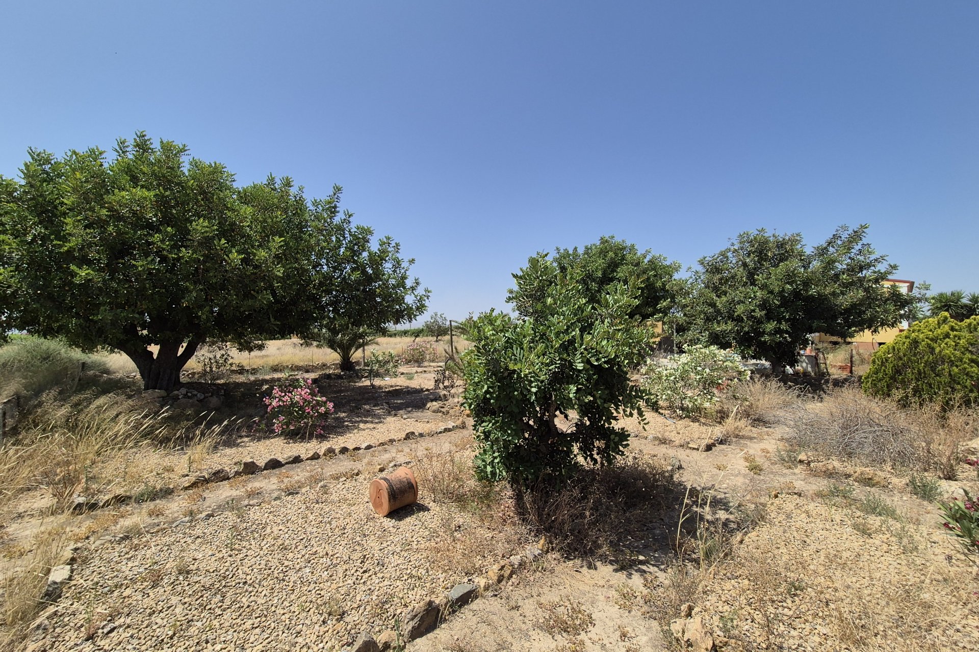 Reventa - Villa - Fuente Alamo - Fuente Alamo de Murcia