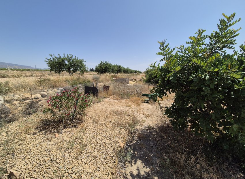 Reventa - Villa - Fuente Alamo - Fuente Alamo de Murcia