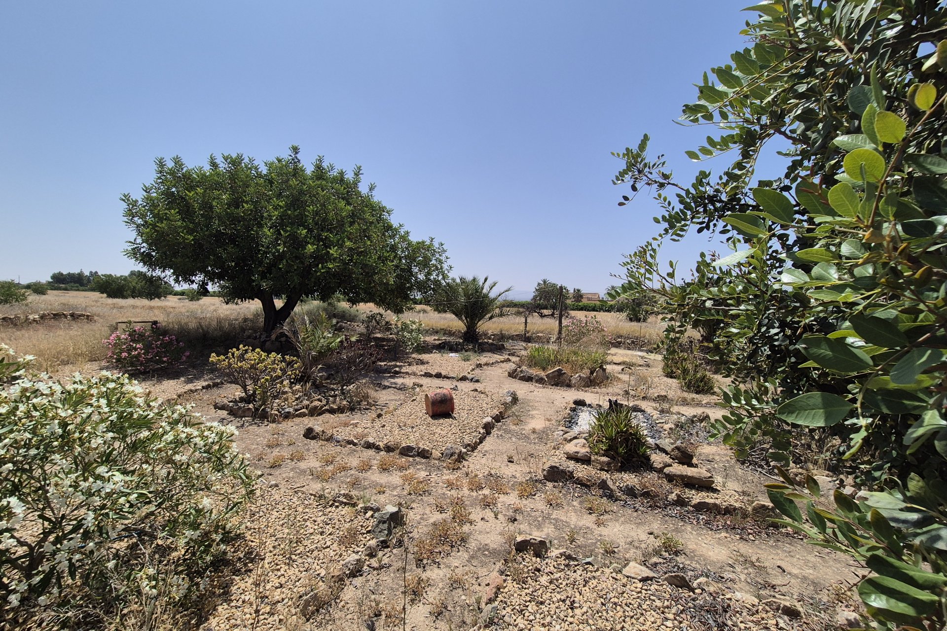 Reventa - Villa - Fuente Alamo - Fuente Alamo de Murcia