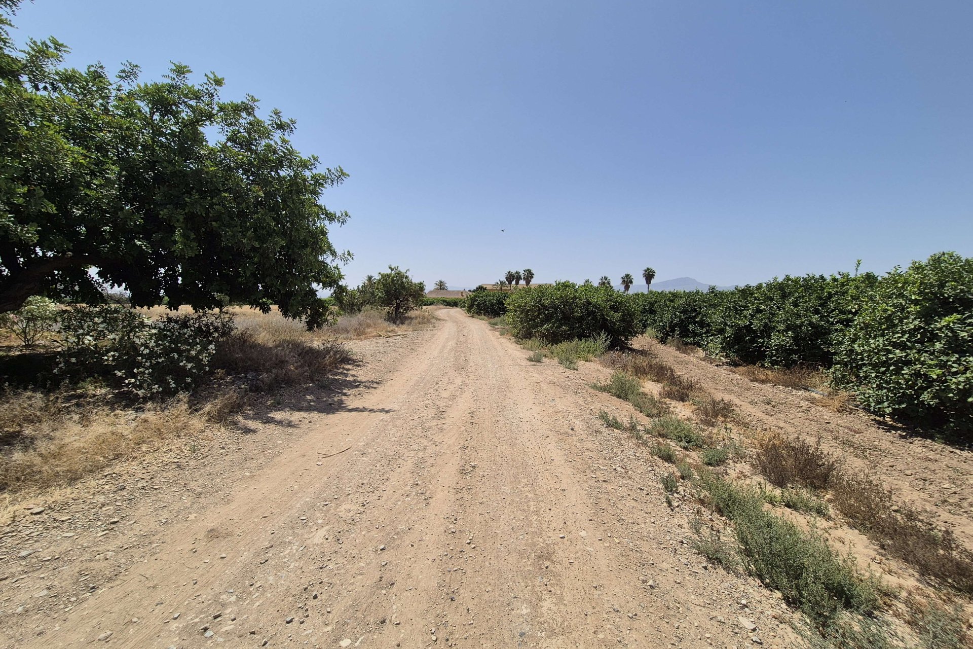Reventa - Villa - Fuente Alamo - Fuente Alamo de Murcia