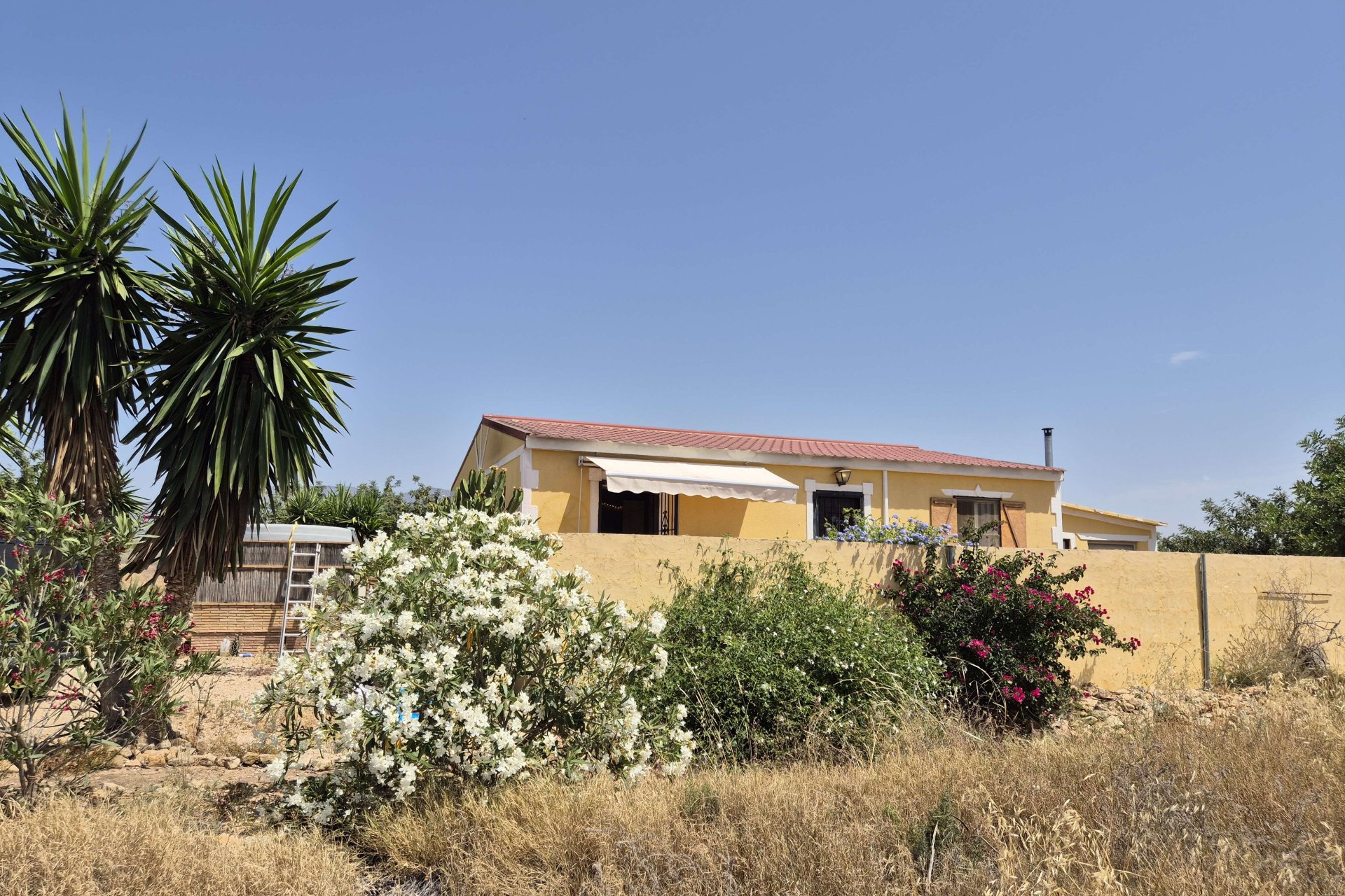 Reventa - Villa - Fuente Alamo - Fuente Alamo de Murcia