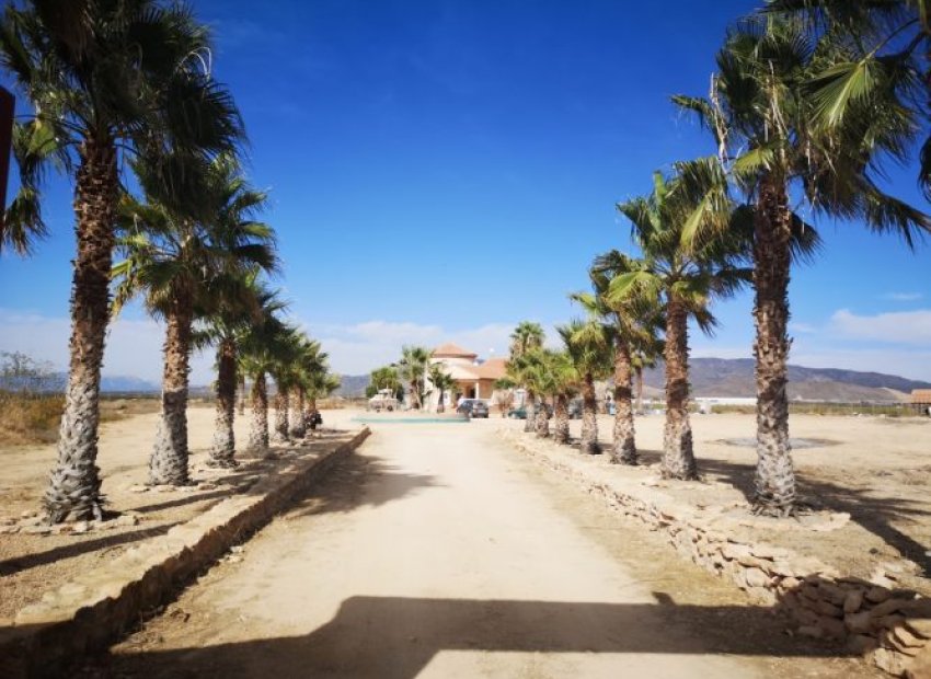 Reventa - Villa - Fuente Alamo - Fuente Alamo de Murcia