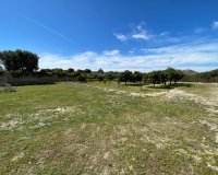 Reventa - Villa - Guardamar del Segura - Valencia