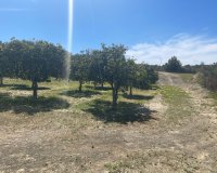 Reventa - Villa - Guardamar del Segura - Valencia