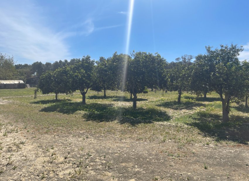 Reventa - Villa - Guardamar del Segura - Valencian Community