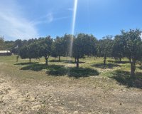 Reventa - Villa - Guardamar del Segura - Valencian Community