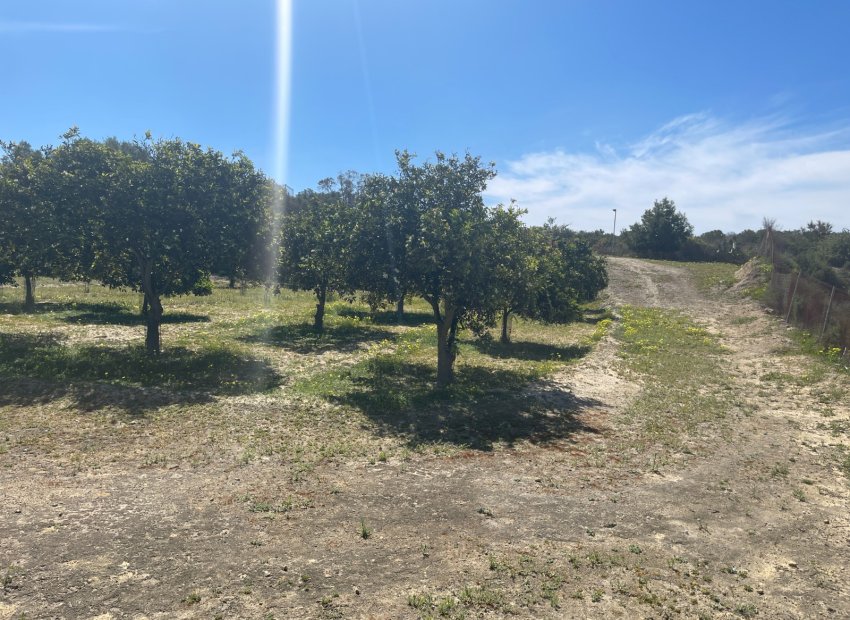 Reventa - Villa - Guardamar del Segura - Valencian Community