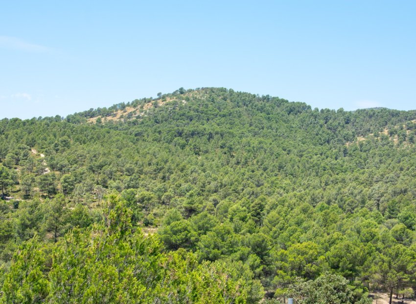 Reventa - Villa - Onil