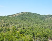 Reventa - Villa - Onil