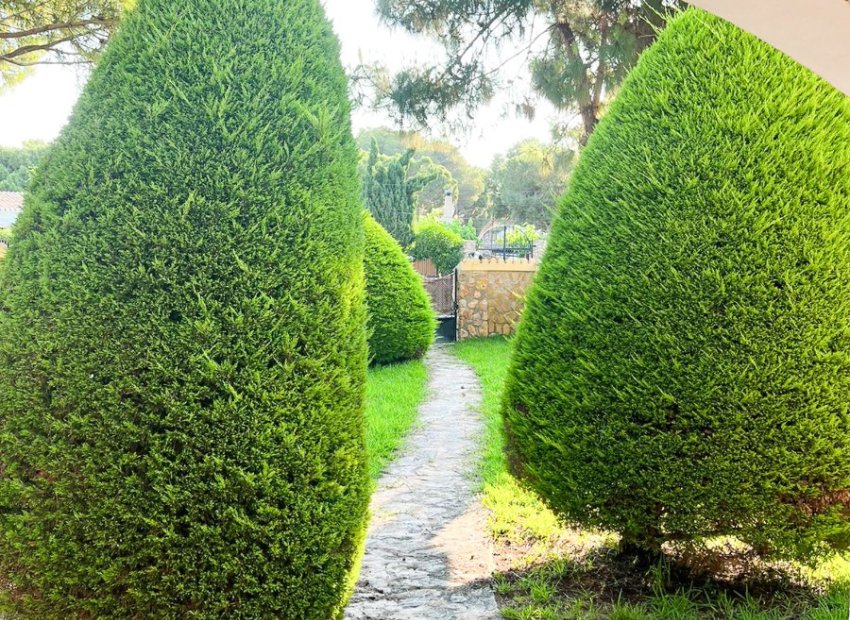 Reventa - Villa - Orihuela Costa - Punta Prima