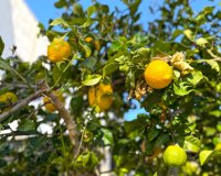 Reventa - Villa - Orihuela Costa - Villamartín