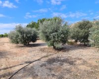 Reventa - Villa - Orihuela - La Matanza