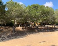 Reventa - Villa - Rojales - Ciudad Quesada