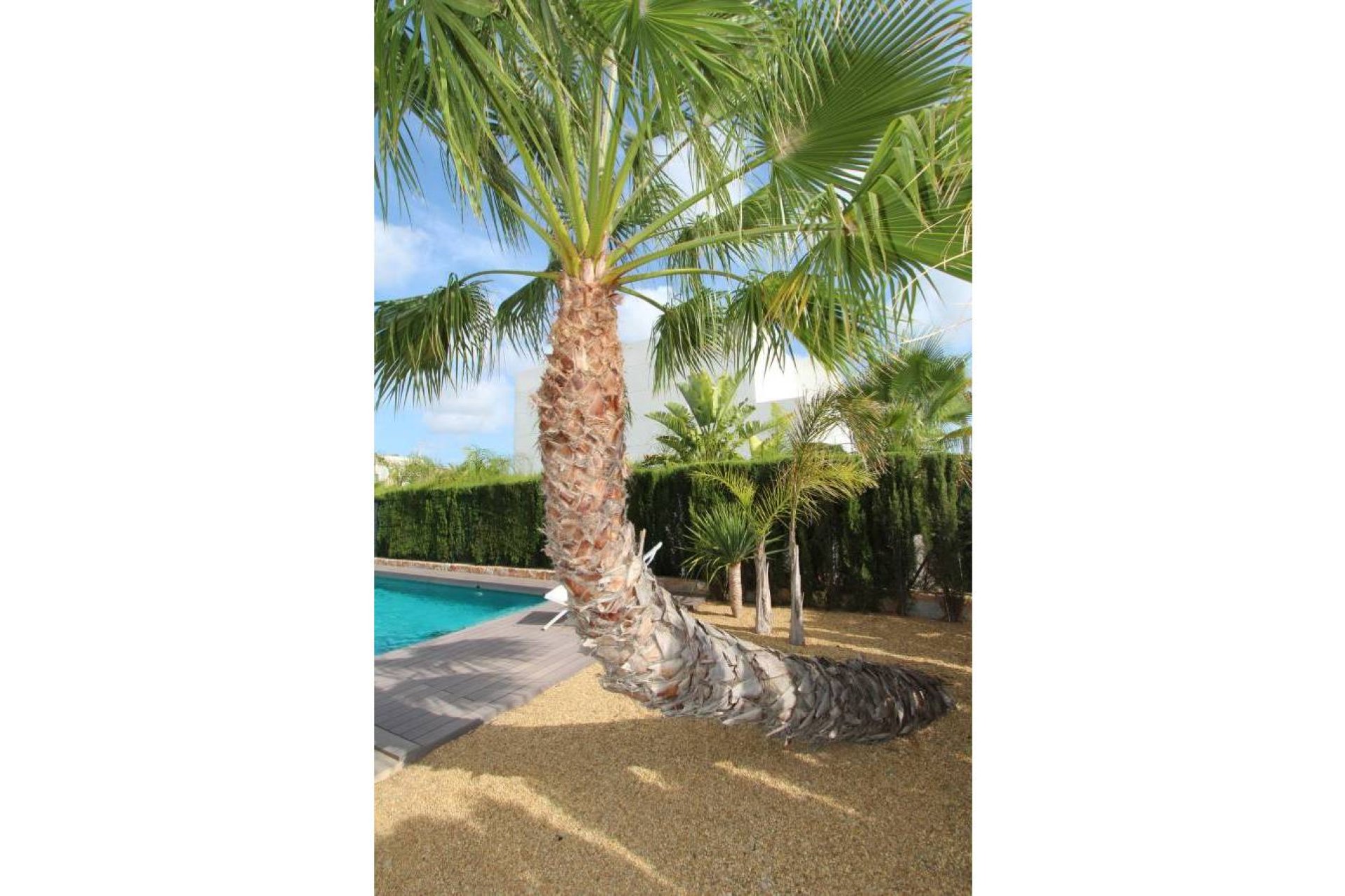 Reventa - Villa - Rojales - Ciudad Quesada