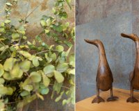 Reventa - Villa - San Vicente del Raspeig - Los Girasoles