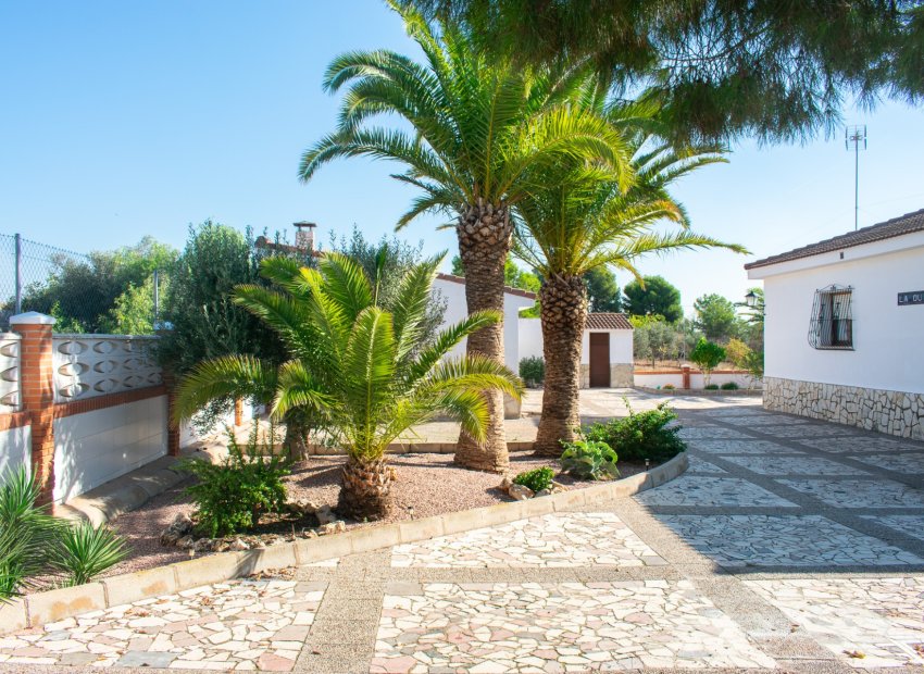 Reventa - Villa - San Vicente del Raspeig